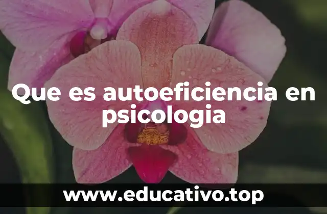 Que es autoeficiencia en psicologia