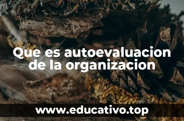 Que es autoevaluacion de la organizacion