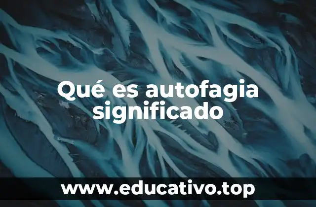 Qué es autofagia significado