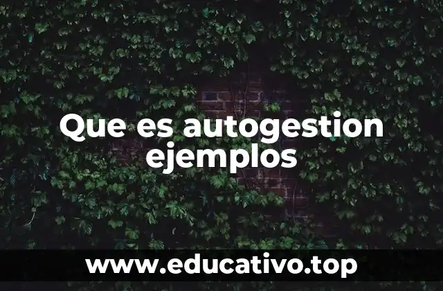 Que es autogestion ejemplos