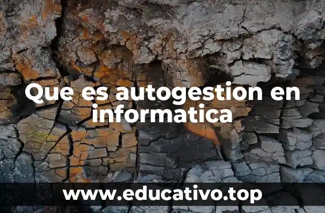 Que es autogestion en informatica