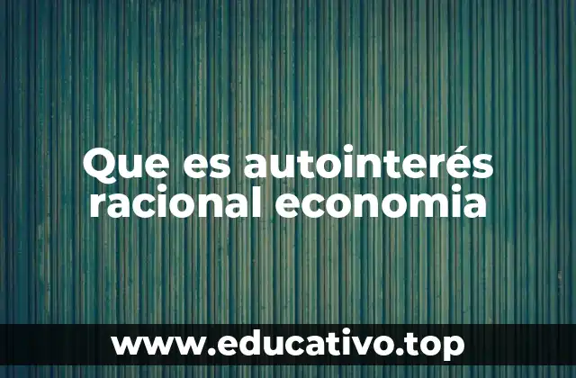 Que es autointerés racional economia