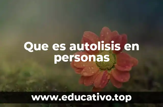 Que es autolisis en personas