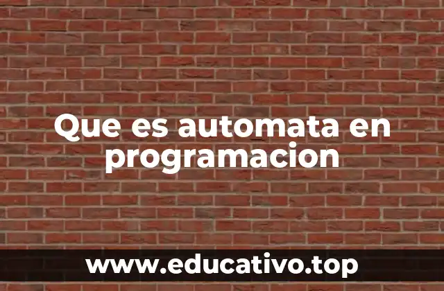 Que es automata en programacion