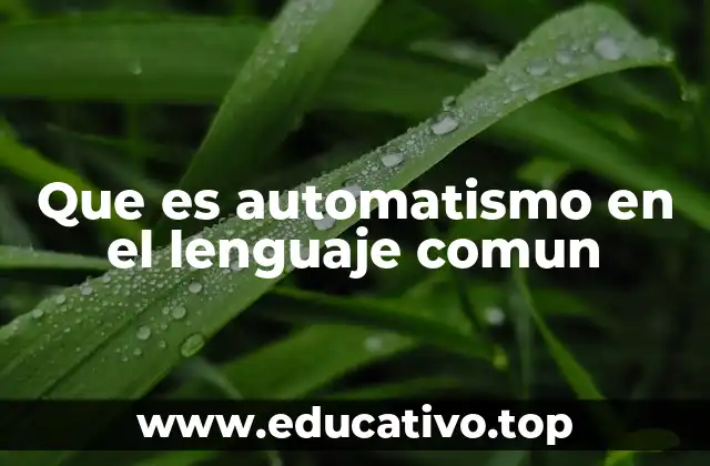 Que es automatismo en el lenguaje comun