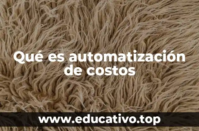 Qué es automatización de costos