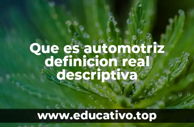 Que es automotriz definicion real descriptiva