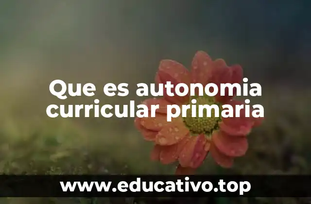 La importancia de adaptar el currículo escolar a las realidades locales