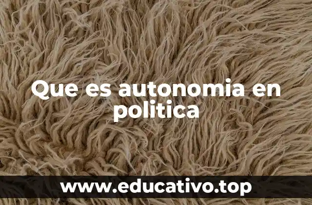 Que es autonomia en politica
