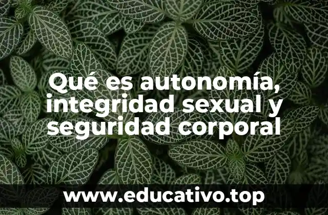 Qué es autonomía, integridad sexual y seguridad corporal