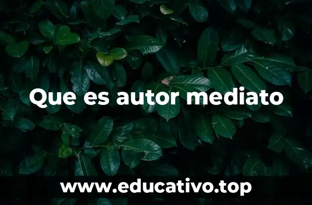 Que es autor mediato