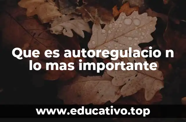 Que es autoregulacio n lo mas importante
