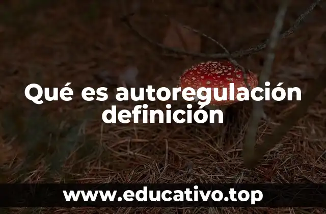 Qué es autoregulación definición