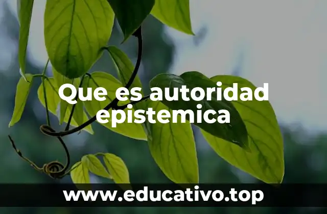Que es autoridad epistemica