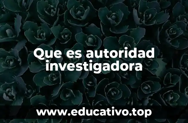Que es autoridad investigadora