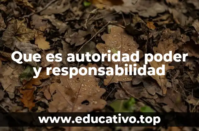 Que es autoridad poder y responsabilidad