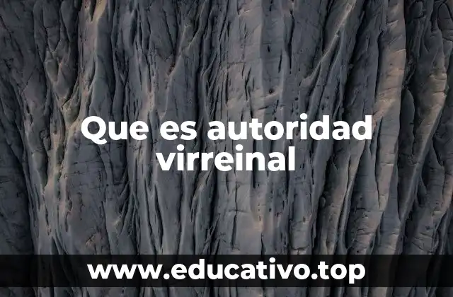 Que es autoridad virreinal