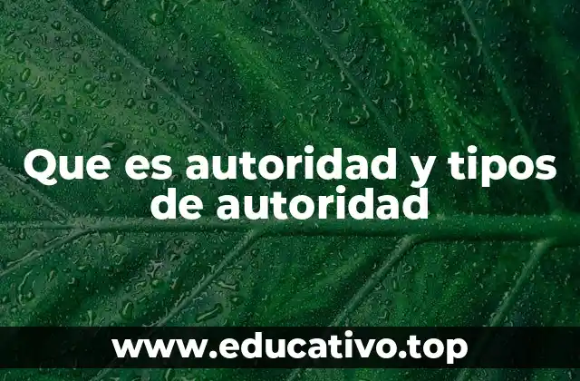 Que es autoridad y tipos de autoridad