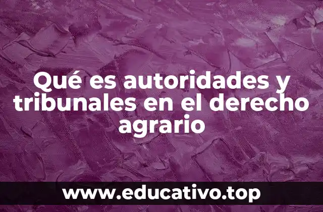 Qué es autoridades y tribunales en el derecho agrario