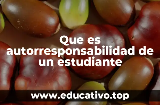 Que es autorresponsabilidad de un estudiante