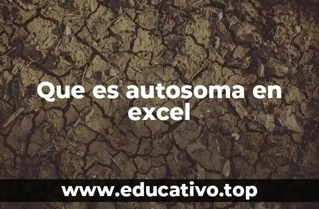 Que es autosoma en excel