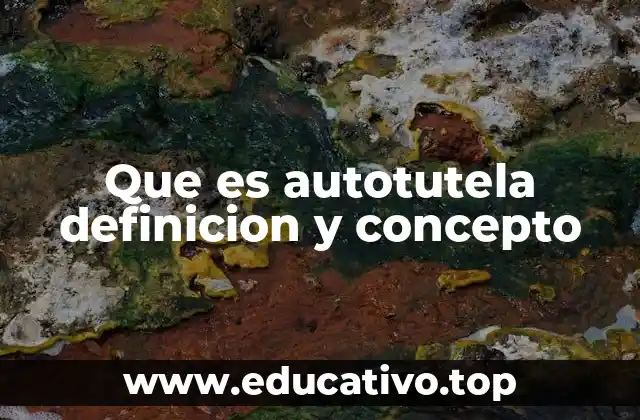 Que es autotutela definicion y concepto
