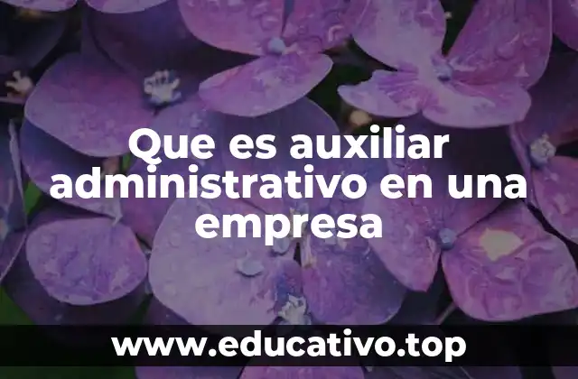 Que es auxiliar administrativo en una empresa