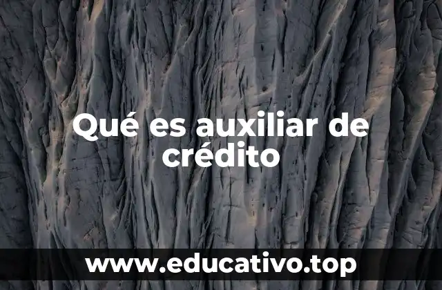 Qué es auxiliar de crédito