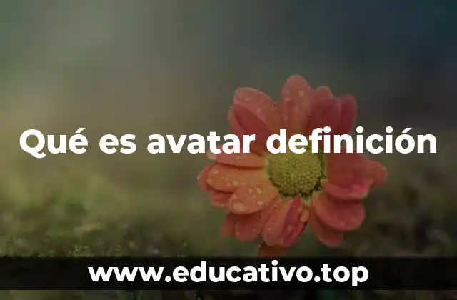 Qué es avatar definición