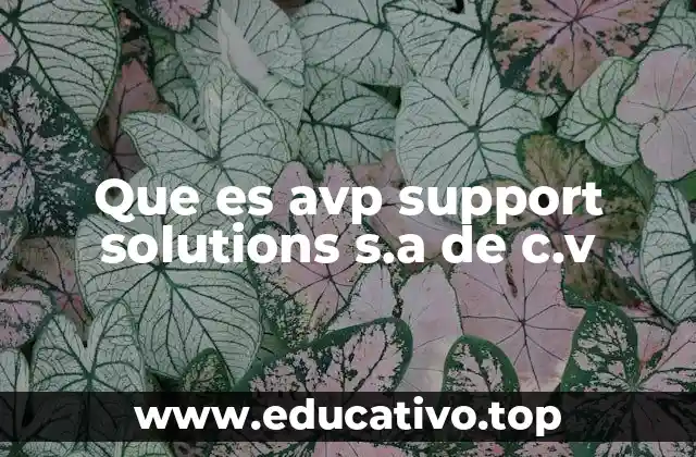 Que es avp support solutions s.a de c.v