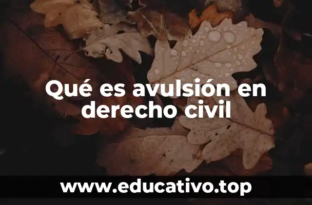 Qué es avulsión en derecho civil