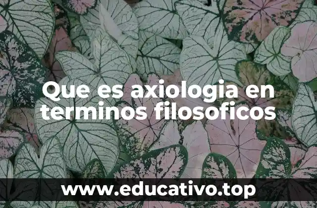 Que es axiologia en terminos filosoficos