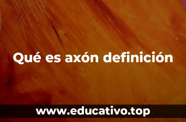 Qué es axón definición
