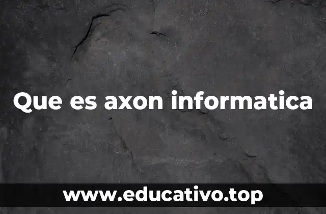 Que es axon informatica