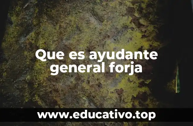 Que es ayudante general forja