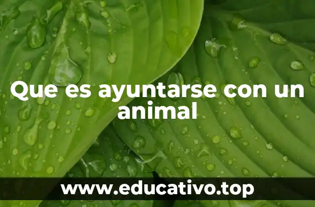 Que es ayuntarse con un animal