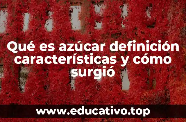 Qué es azúcar definición características y cómo surgió