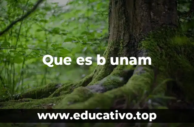 Que es b unam