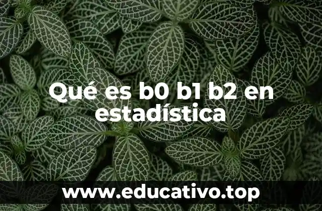 Qué es b0 b1 b2 en estadística