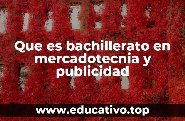 Que es bachillerato en mercadotecnia y publicidad