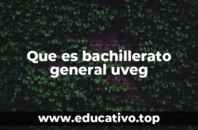 Que es bachillerato general uveg