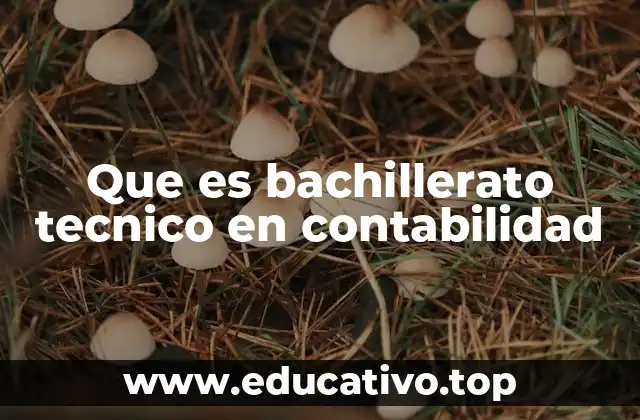 Que es bachillerato tecnico en contabilidad