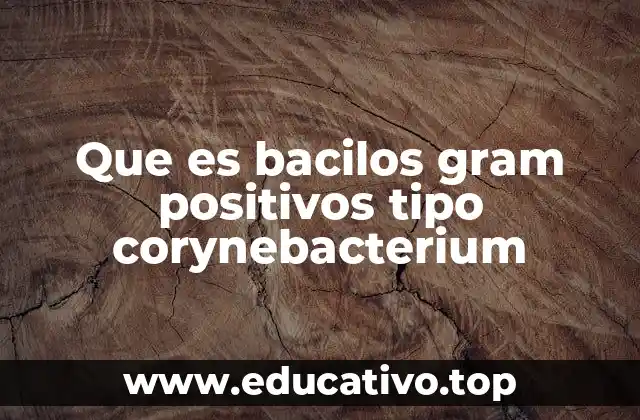 Que es bacilos gram positivos tipo corynebacterium