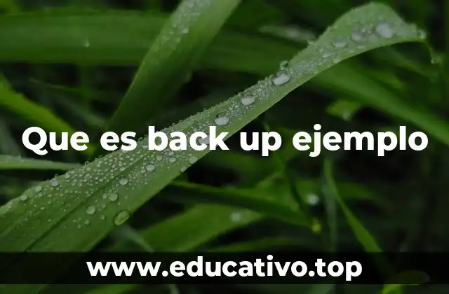 Que es back up ejemplo