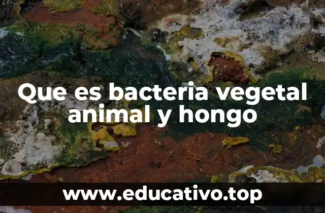 Que es bacteria vegetal animal y hongo