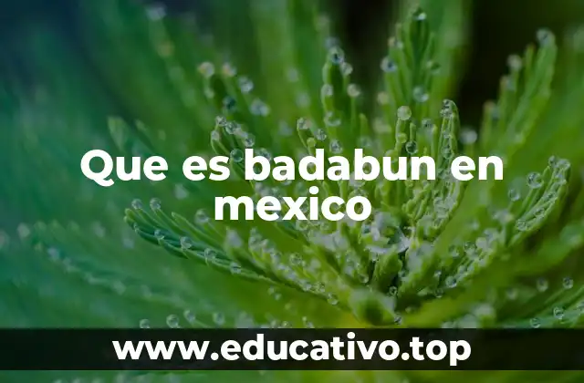 Que es badabun en mexico