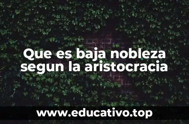 Que es baja nobleza segun la aristocracia