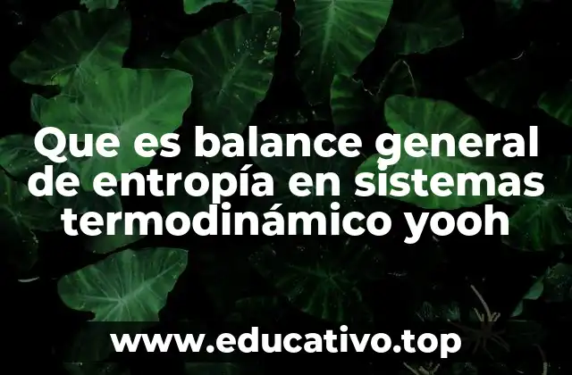 Que es balance general de entropía en sistemas termodinámico yooh
