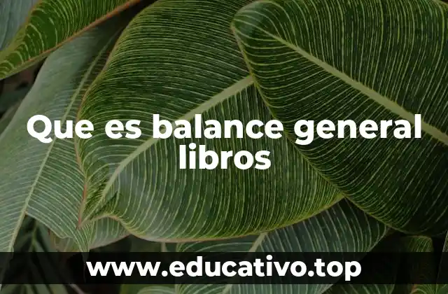 Que es balance general libros