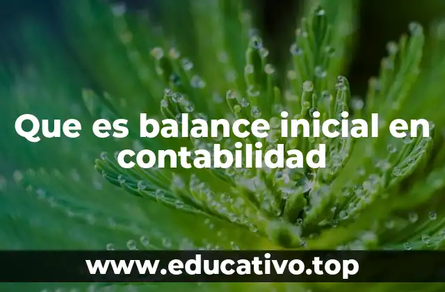 Que es balance inicial en contabilidad